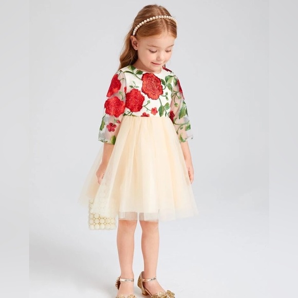Toddler Girls Formal Holiday Christmas Floral Embroidery Mesh Gown Dress Size 4 - Picture 3 of 17